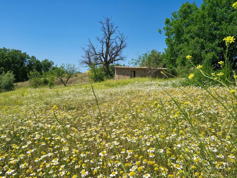 8 soverom Finca/Herregård til salgs i Canar med svømmebasseng - € 595 000 (Ref: 8751796)