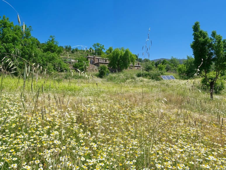 8 soverom Finca/Herregård til salgs i Canar med svømmebasseng - € 595 000 (Ref: 8751796)