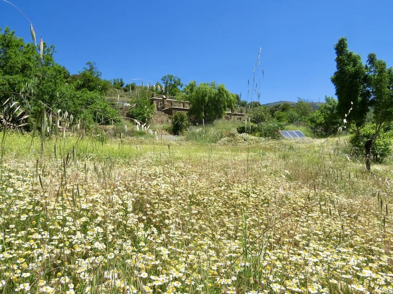 8 soverom Finca/Herregård til salgs i Canar med svømmebasseng - € 595 000 (Ref: 8751796)