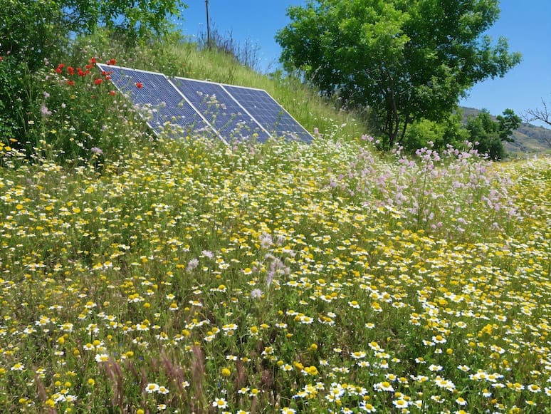 8 soverom Finca/Herregård til salgs i Canar med svømmebasseng - € 595 000 (Ref: 8751796)