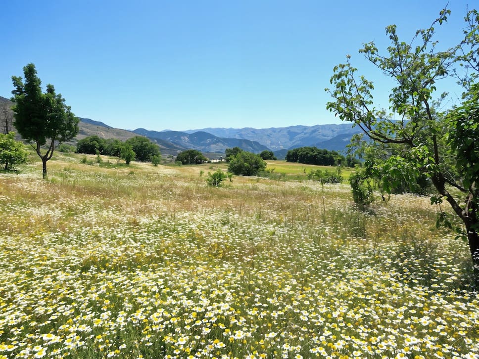 8 soverom Finca/Herregård til salgs i Canar med svømmebasseng - € 595 000 (Ref: 8751796)