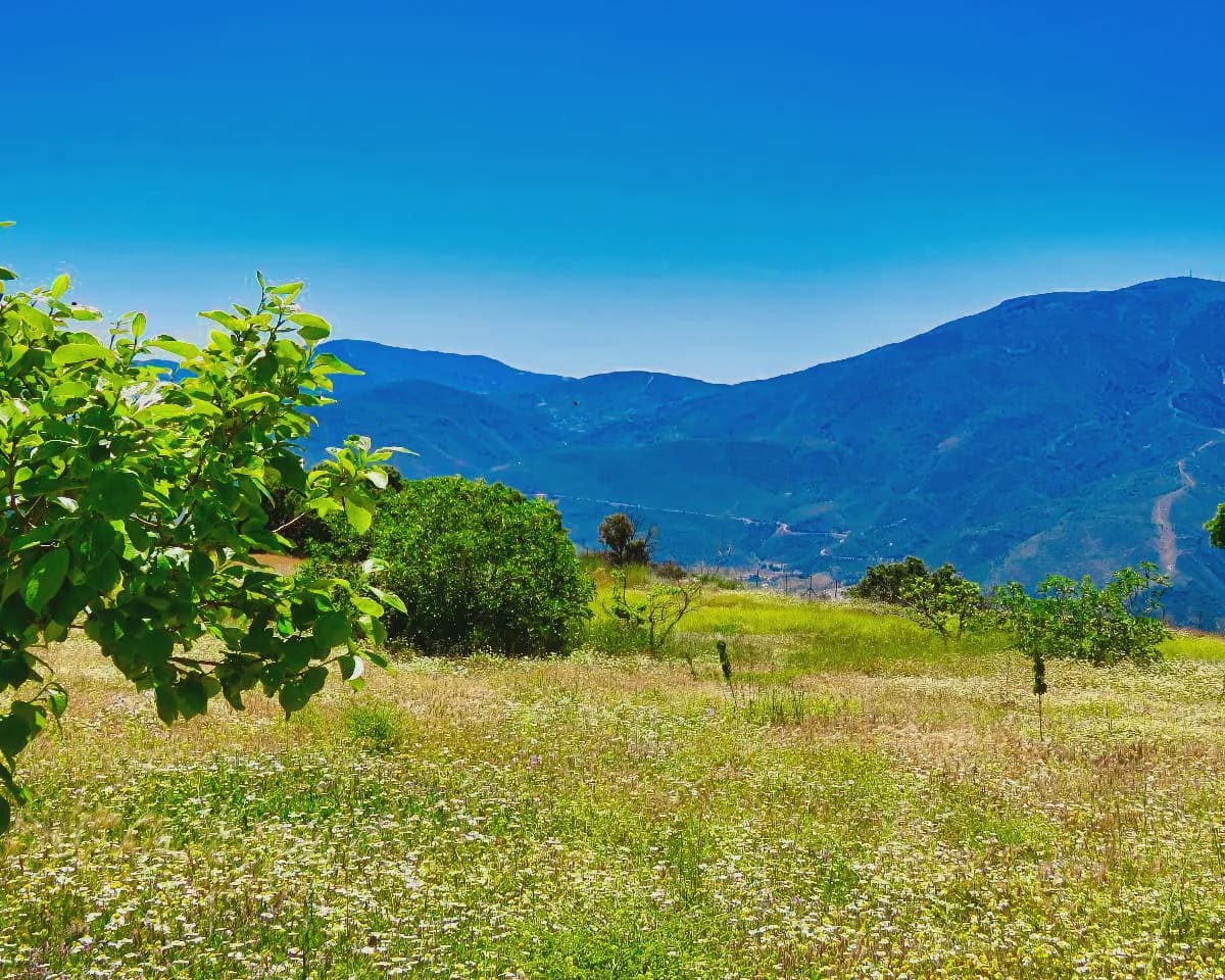 8 camera da letto Affittacamere/B & B in vendita in Canar con piscina - 595.000 € (Rif: 8751796)