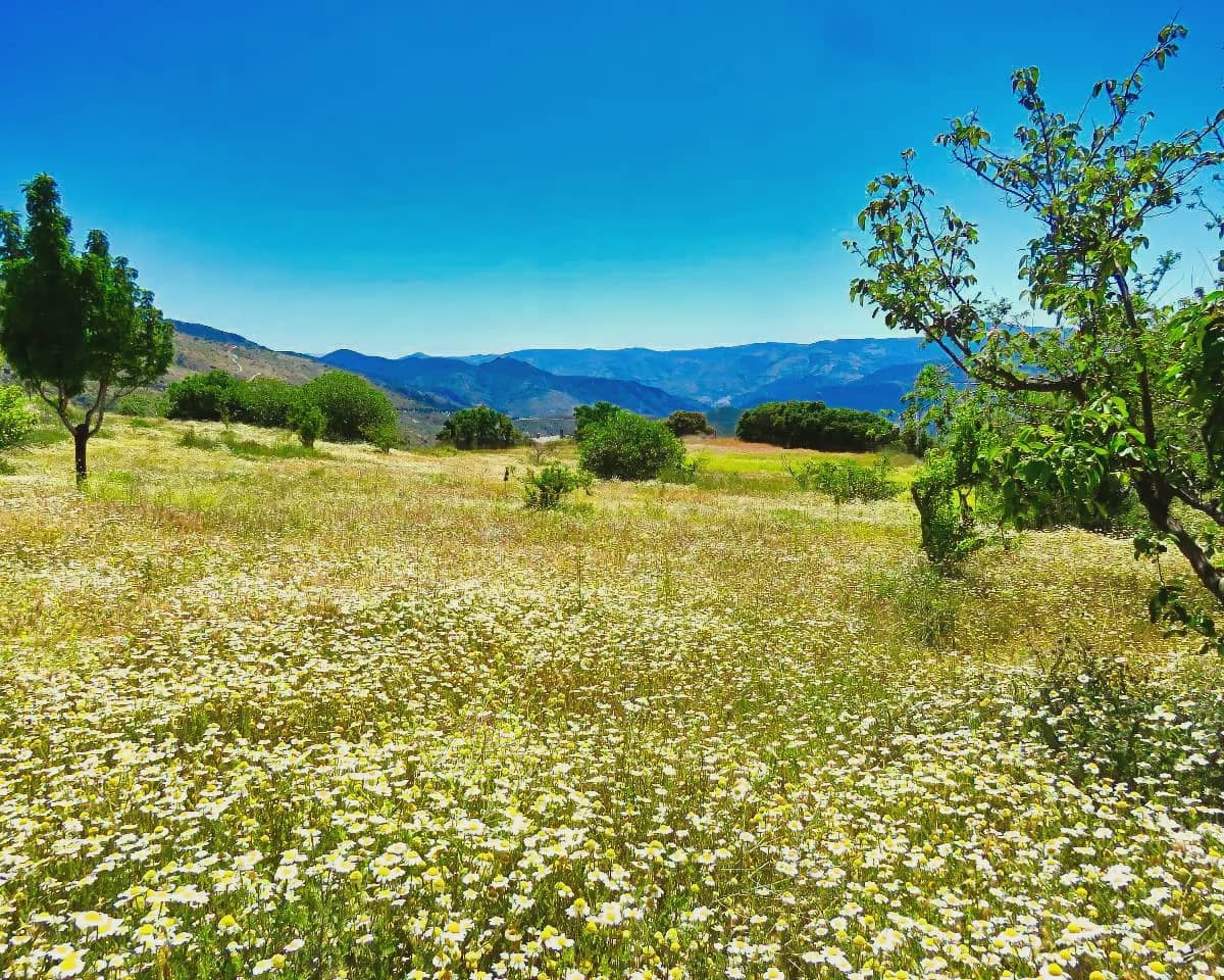 8 camera da letto Affittacamere/B & B in vendita in Canar con piscina - 595.000 € (Rif: 8751796)