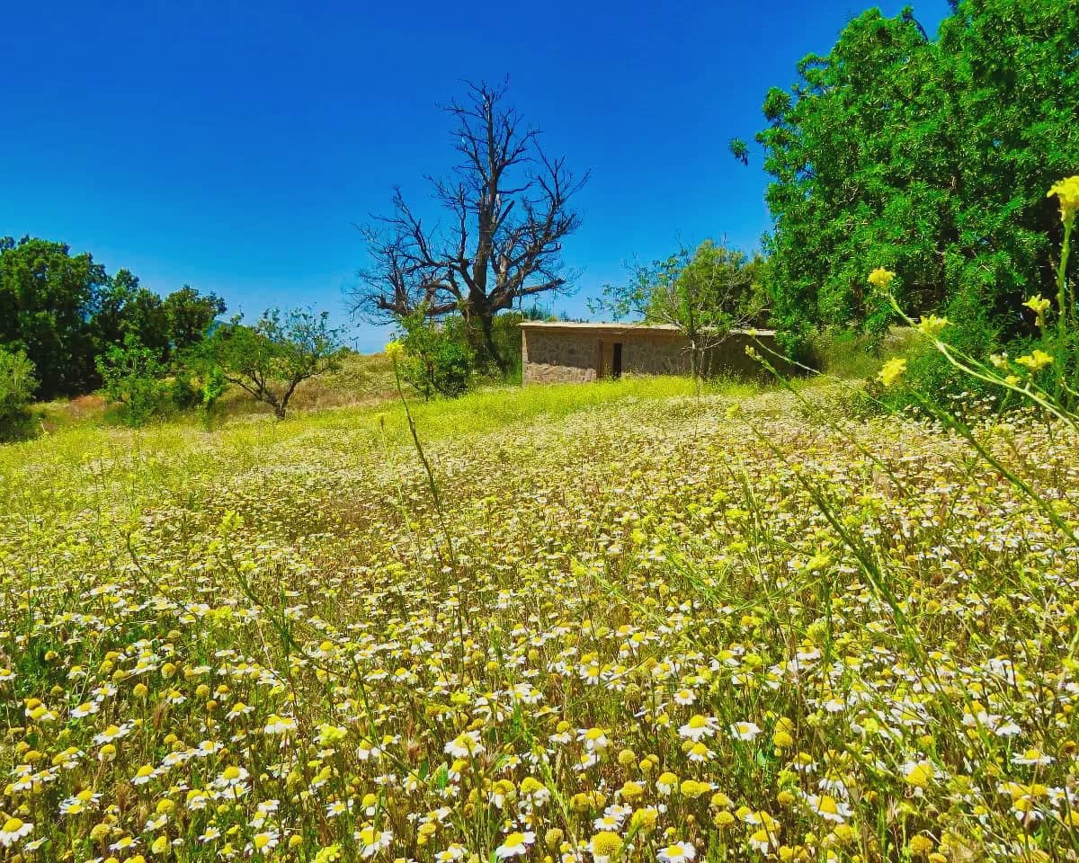 8 camera da letto Affittacamere/B & B in vendita in Canar con piscina - 595.000 € (Rif: 8751796)