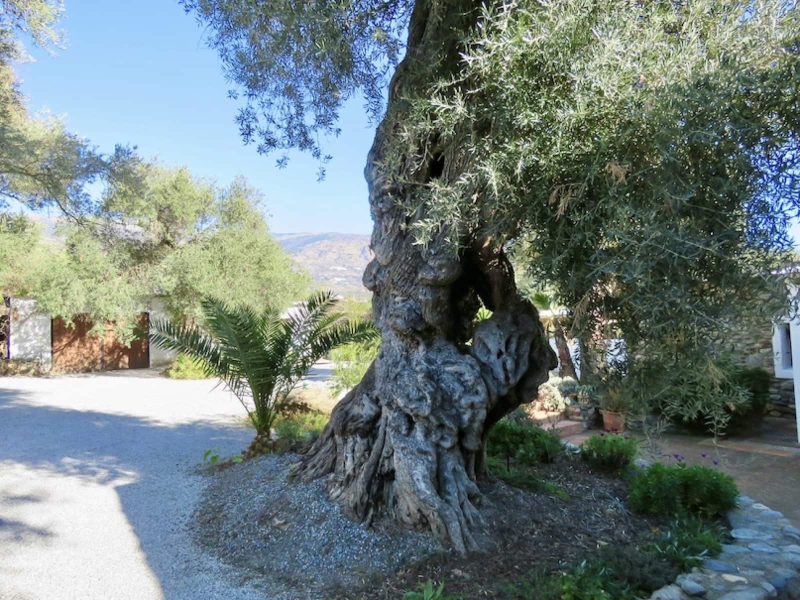 4 quarto Quinta/Casa Rural para venda em Orgiva com garagem - 675 000 € (Ref: 8764957)