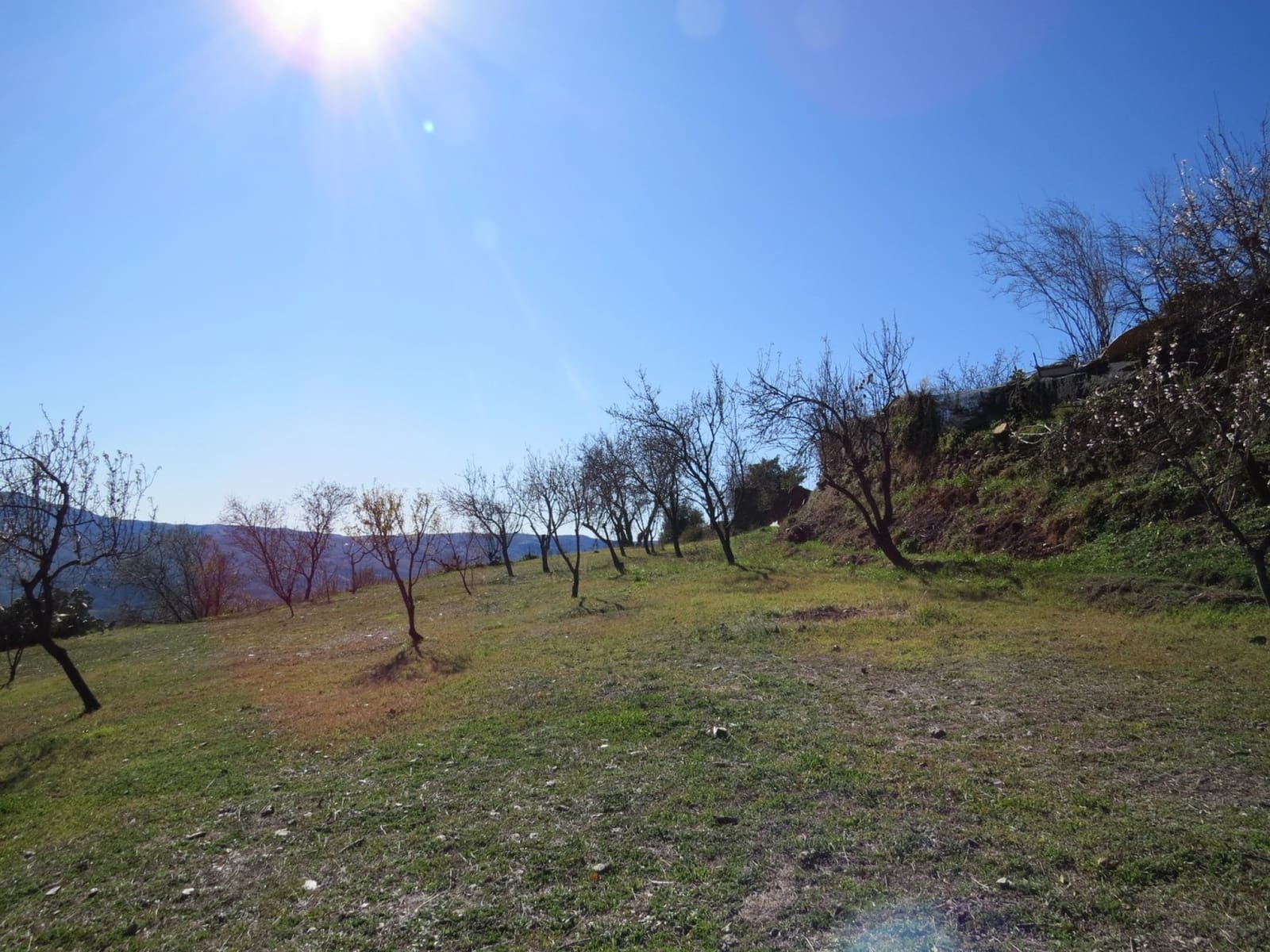 6 sypialnia Willa na sprzedaż w Berchules z basenem garażem - 290 000 € (Ref: 8765760)