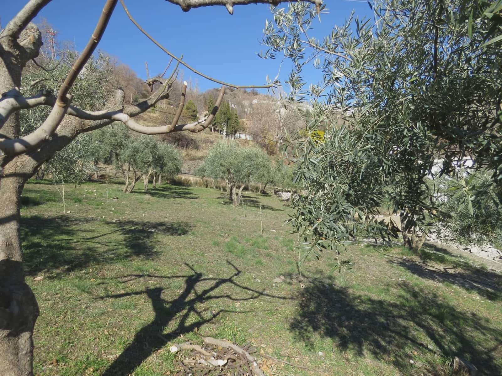 6 slaapkamer Finca/Landhuis te koop in Berchules met zwembad garage - € 290.000 (Ref: 8765760)