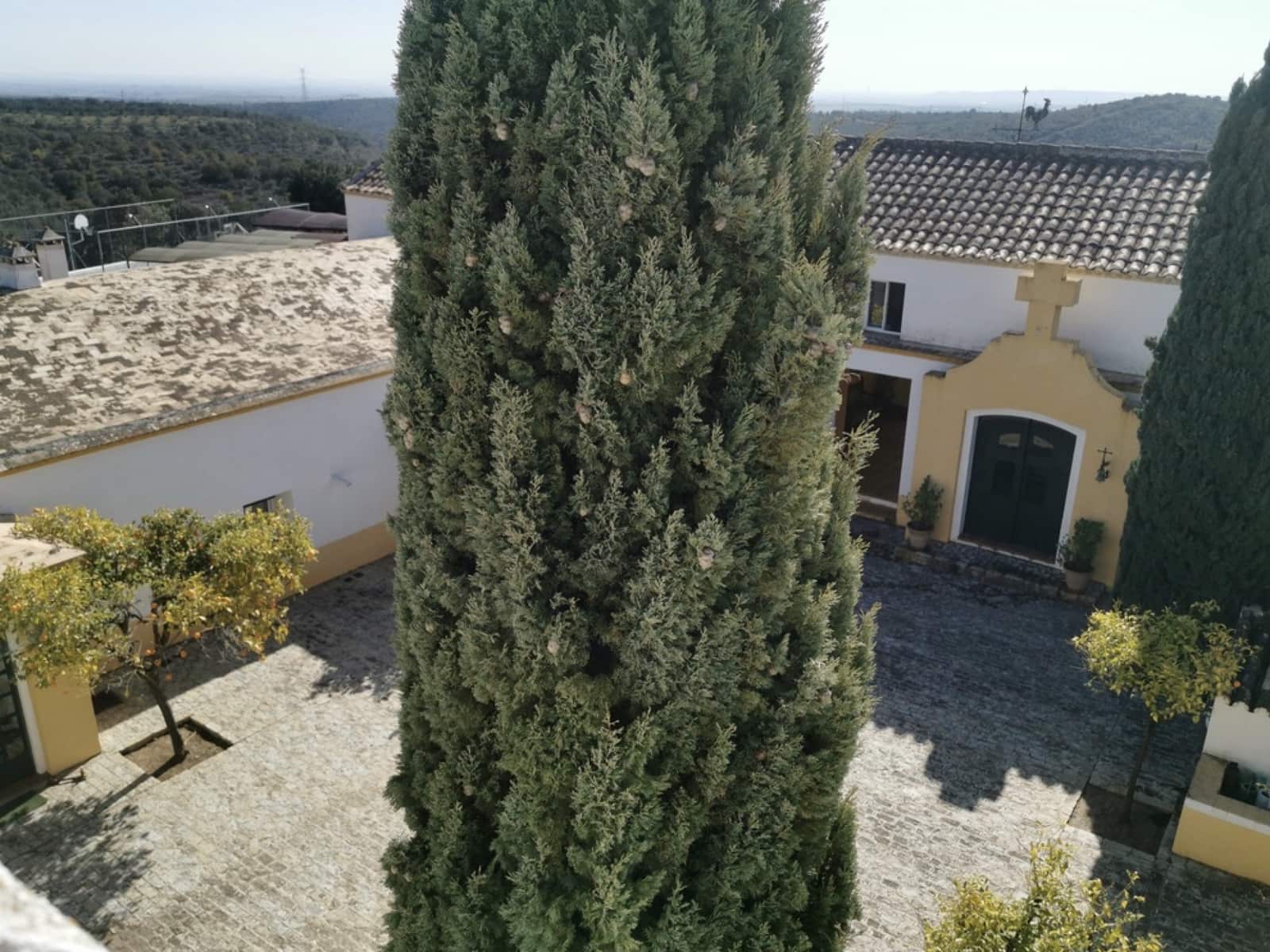 24 soveværelse Finca/Landehus til salg i Gerena med swimmingpool garage - € 2.800.000 (Ref: 8821144)