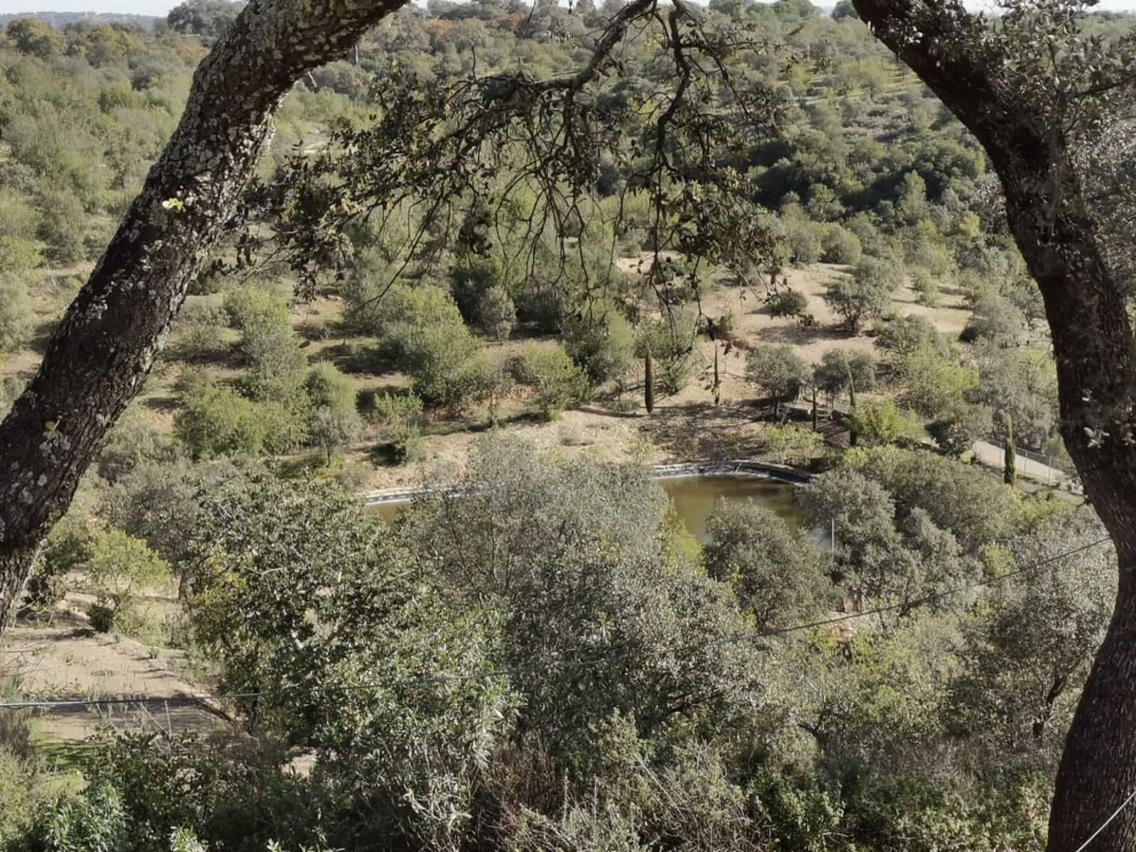 24 soveværelse Finca/Landehus til salg i Gerena med swimmingpool garage - € 2.800.000 (Ref: 8821144)