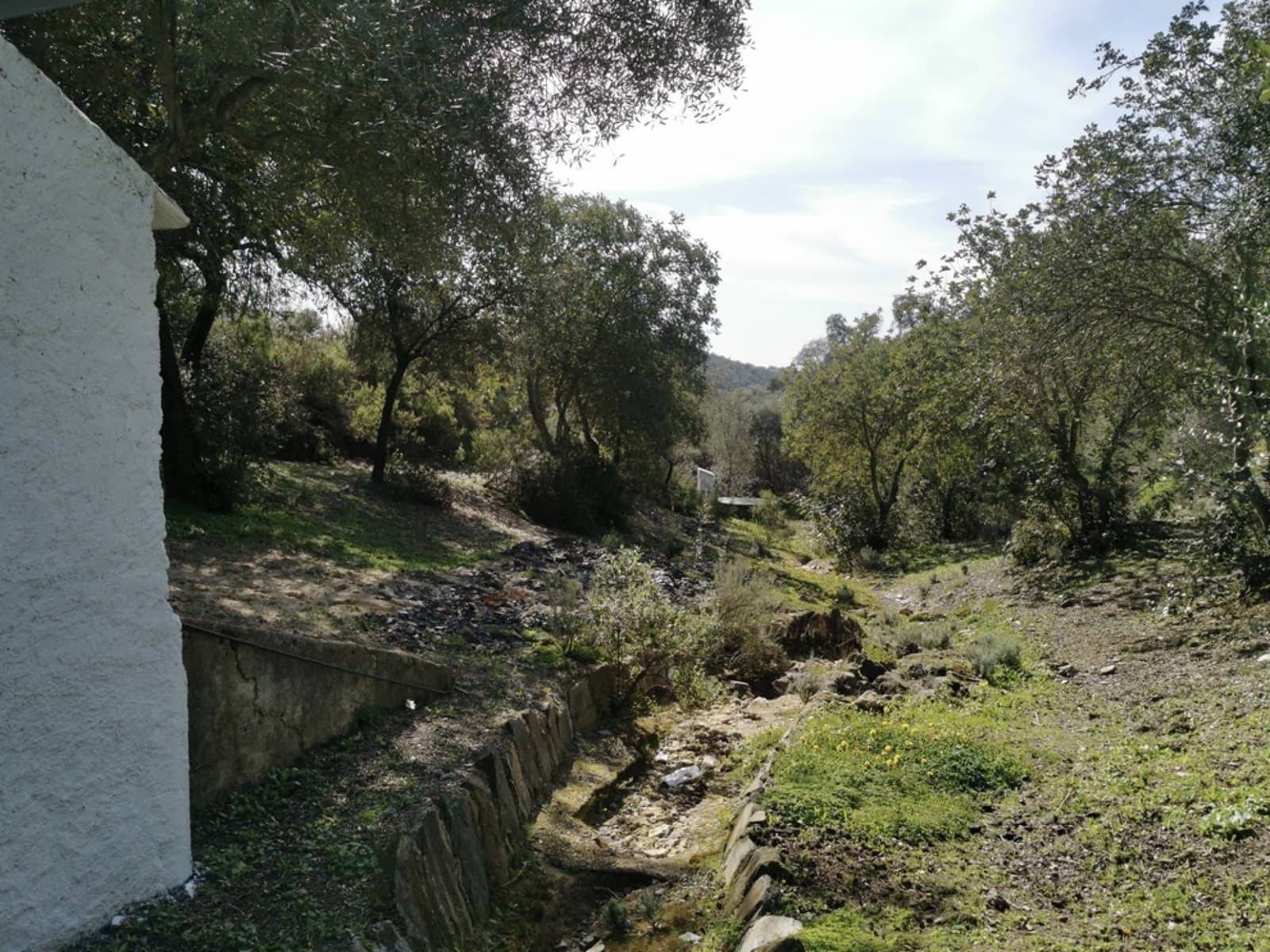 24 soveværelse Finca/Landehus til salg i Gerena med swimmingpool garage - € 2.800.000 (Ref: 8821144)