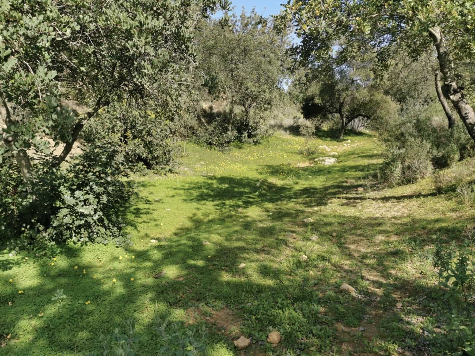 24 soveværelse Finca/Landehus til salg i Gerena med swimmingpool garage - € 2.800.000 (Ref: 8821144)