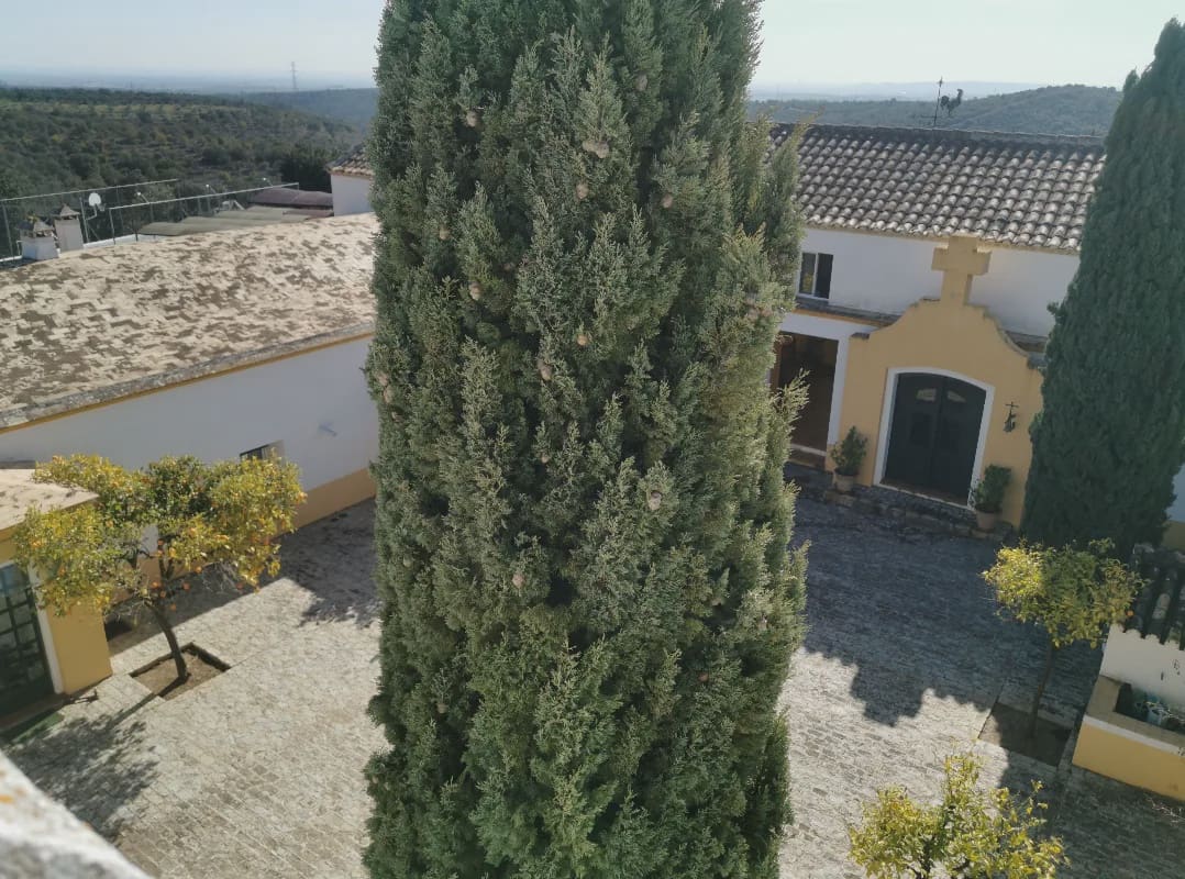 24 camera da letto Finca/Casa di Campagna in vendita in Gerena con piscina garage - 2.800.000 € (Rif: 8821144)