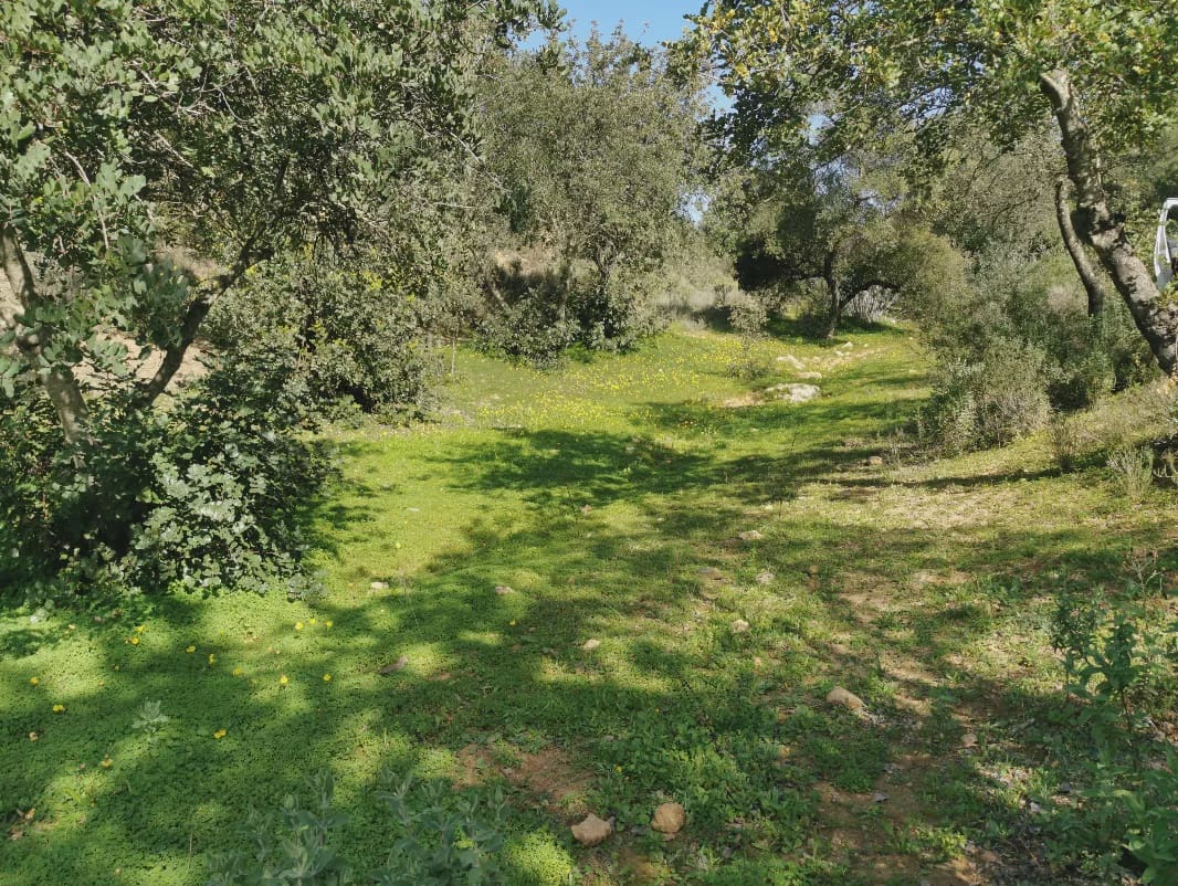 24 camera da letto Finca/Casa di Campagna in vendita in Gerena con piscina garage - 2.800.000 € (Rif: 8821144)