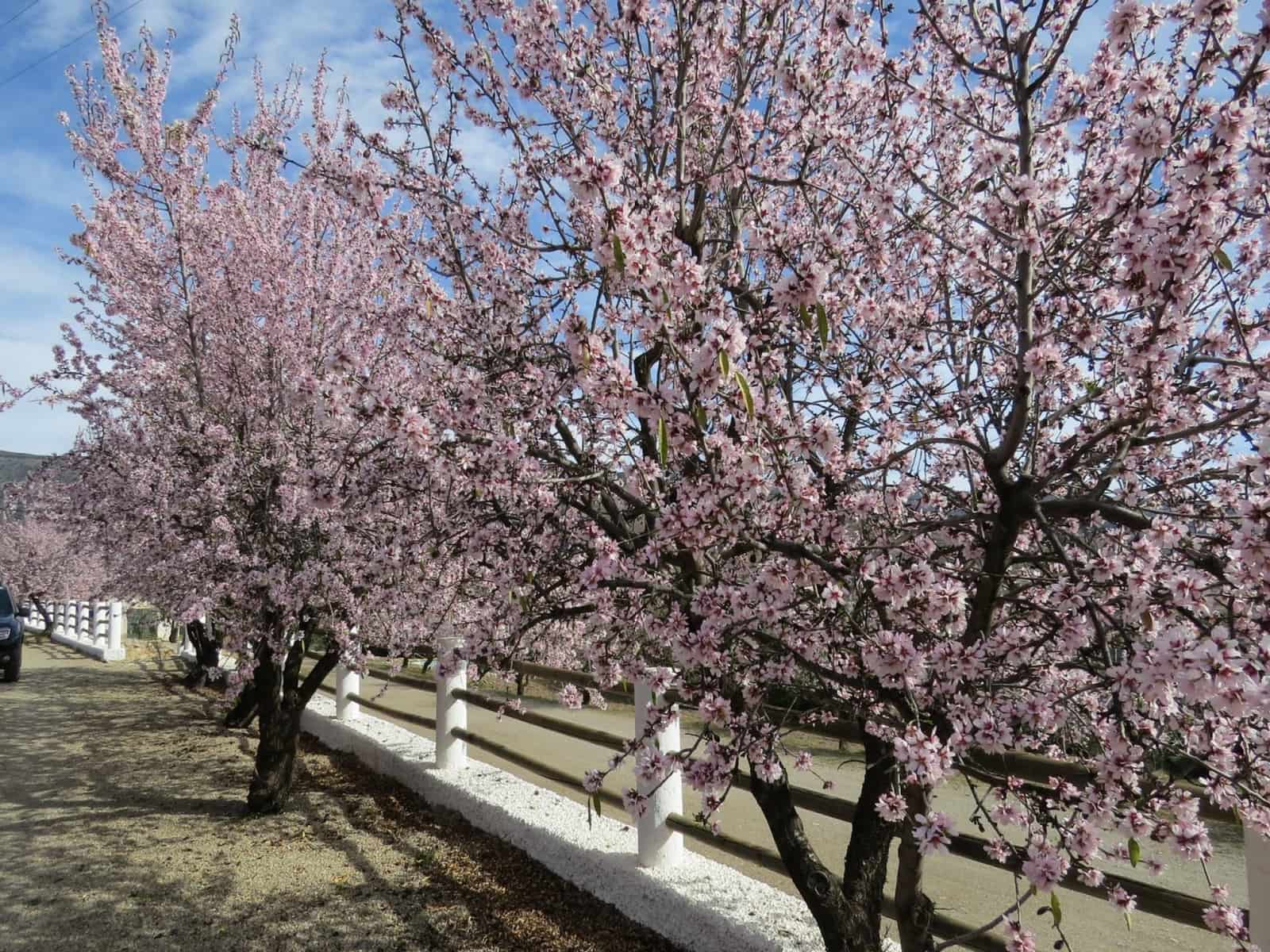 5 bedroom Hotel for sale in Laroles with pool - € 550,000 (Ref: 8843997)