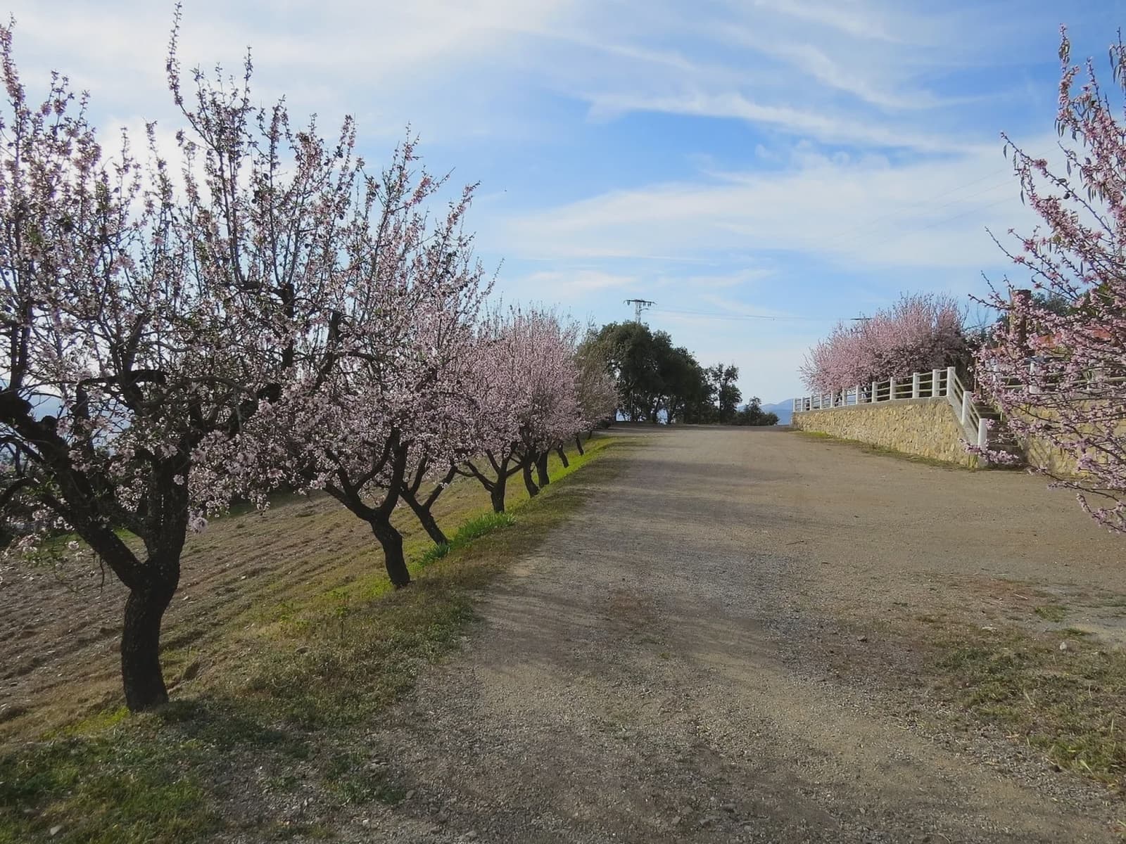 5 slaapkamer Finca/Landhuis te koop in Laroles met zwembad garage - € 480.000 (Ref: 8843997)
