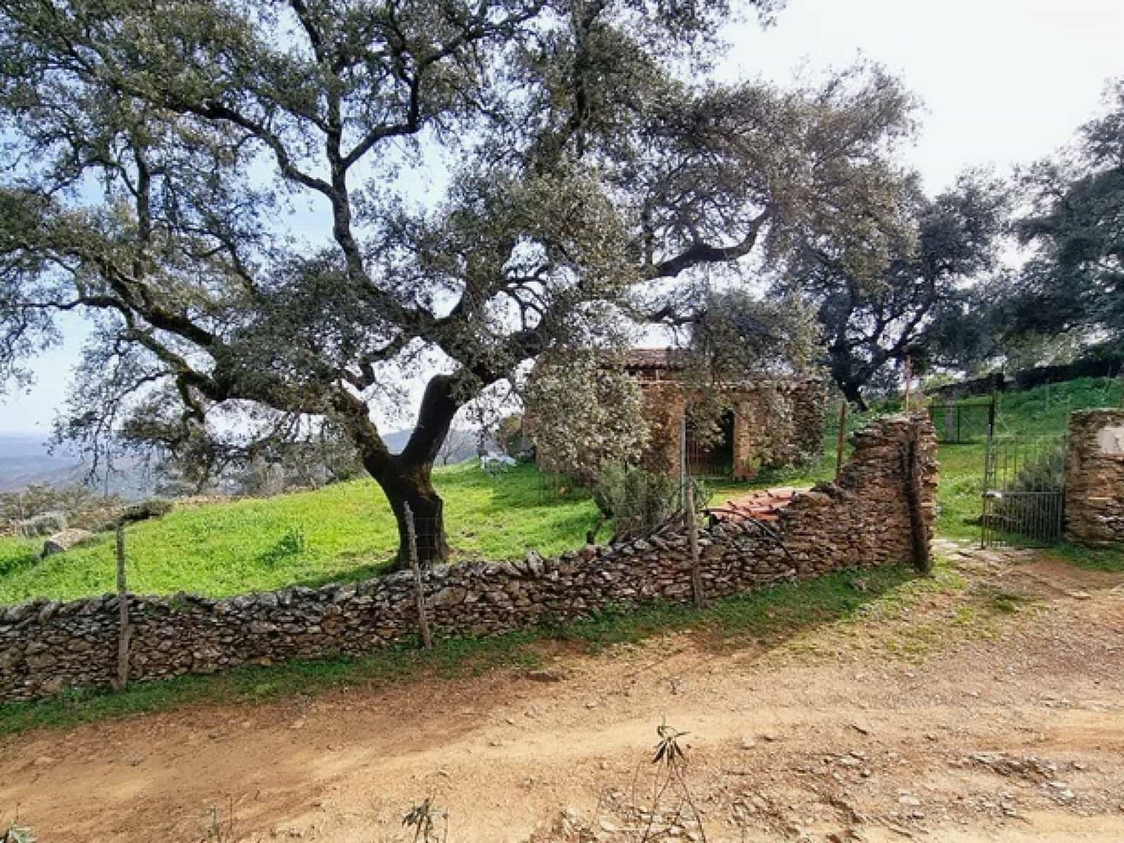 6 chambre Finca/Maison de Campagne à vendre à Aracena - 480 000 € (Ref: 8881048)