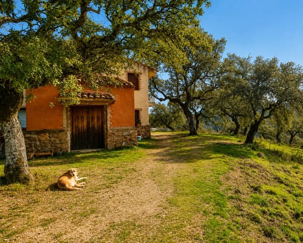 6 slaapkamer Finca/Landhuis te koop in Aracena - € 480.000 (Ref: 8881048)