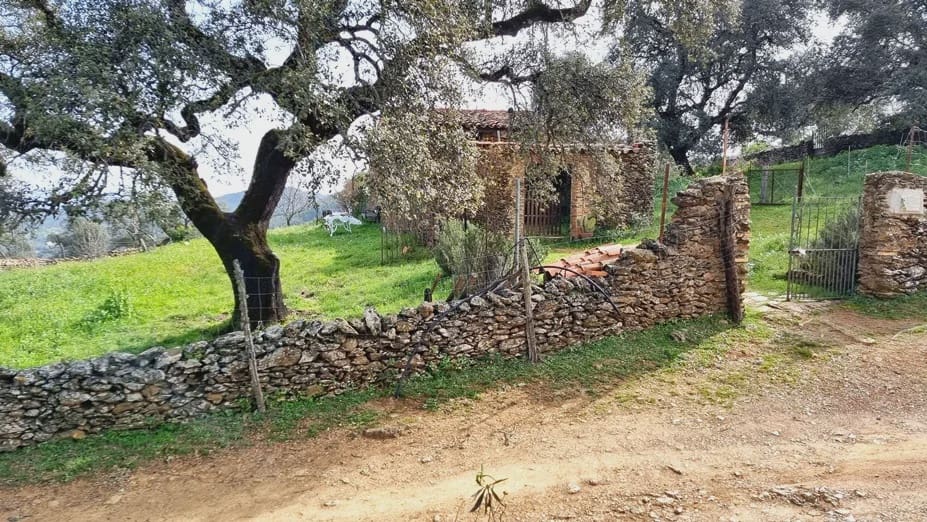 6 soverom Finca/Herregård til salgs i Aracena - € 480 000 (Ref: 8881048)