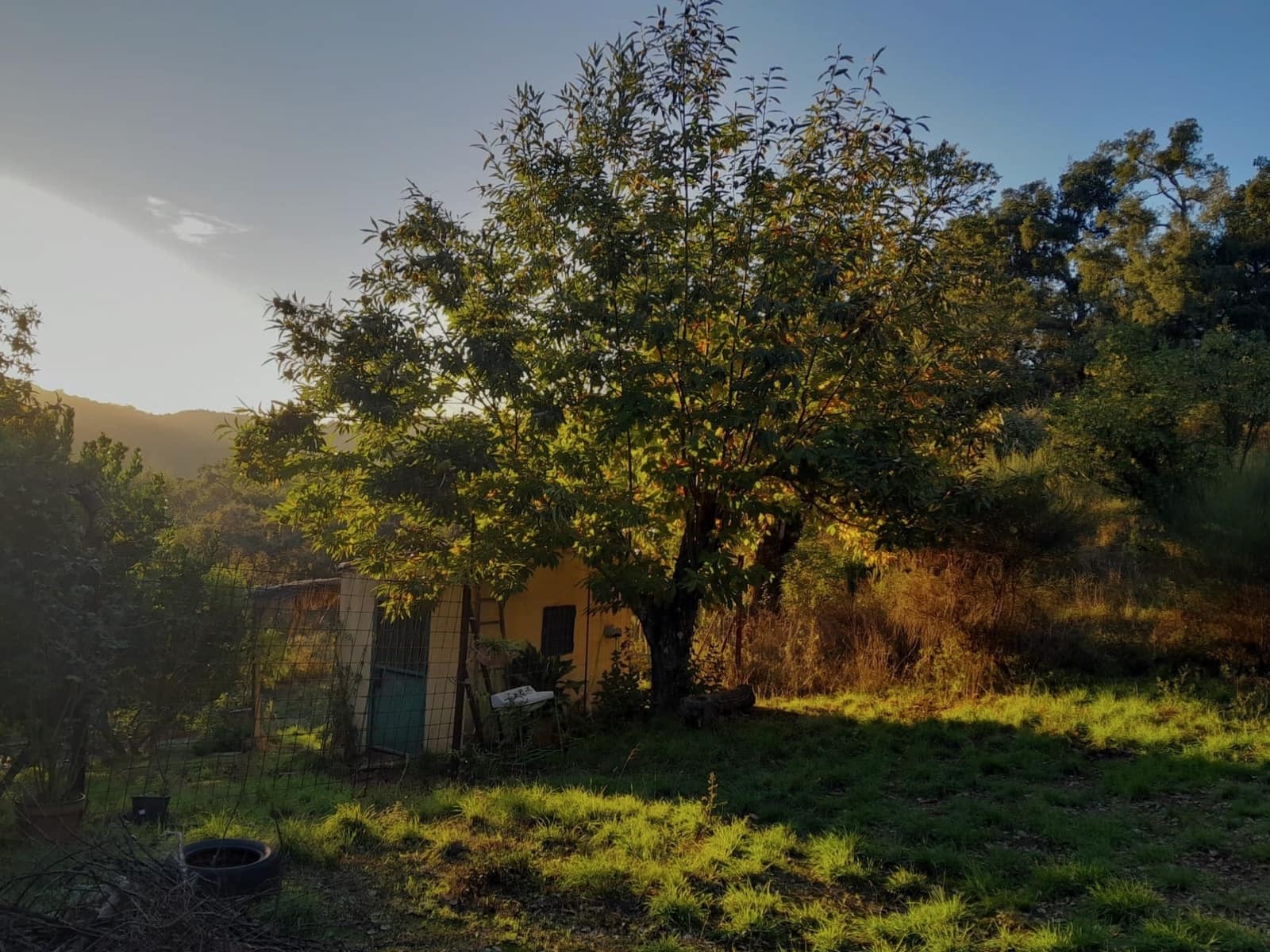 2 soveværelse Finca/Landehus til salg i Castano del Robledo med swimmingpool - € 255.000 (Ref: 8885148)