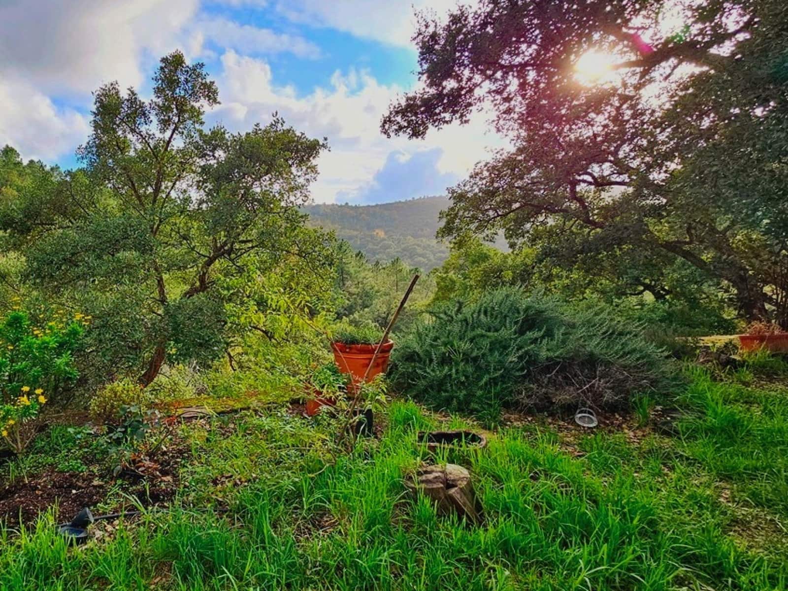 2 soveværelse Finca/Landehus til salg i Castano del Robledo med swimmingpool - € 255.000 (Ref: 8885148)