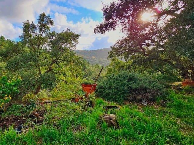 2 bedroom Finca/Country House for sale in Castaño del Robledo with pool - € 255,000 (Ref: 8885148)