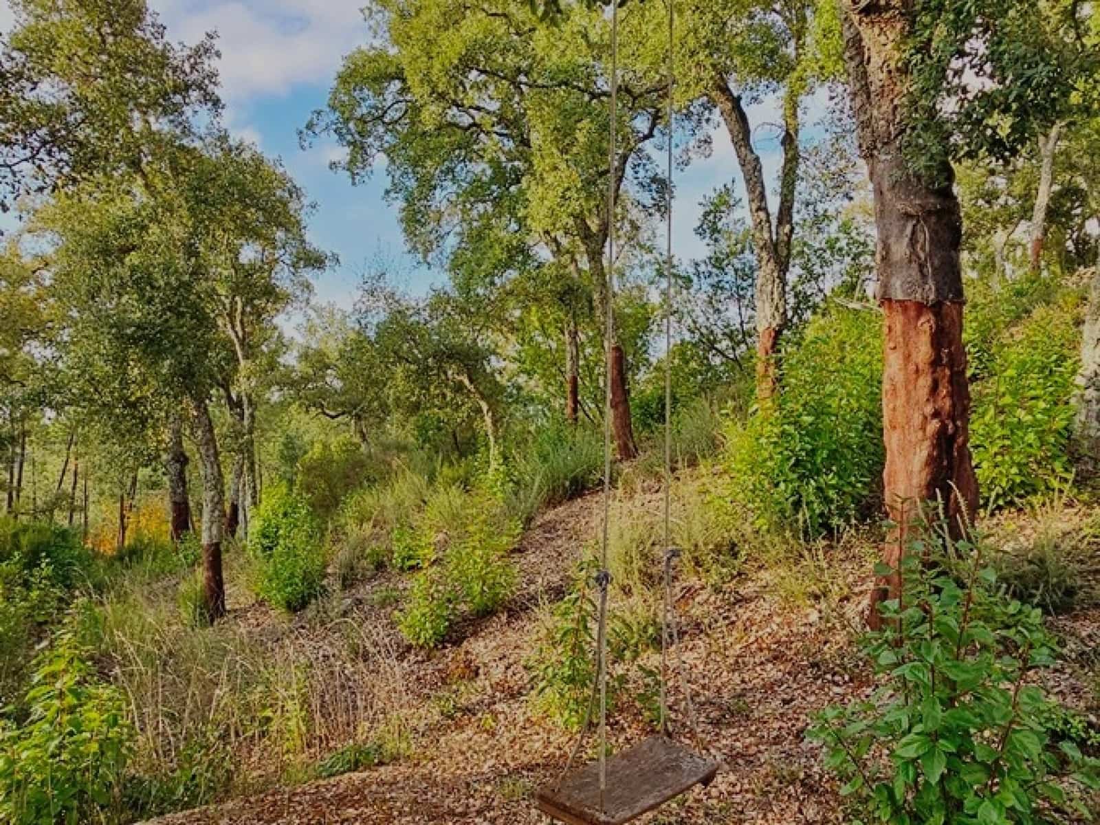 2 soveværelse Finca/Landehus til salg i Castano del Robledo med swimmingpool - € 255.000 (Ref: 8885148)