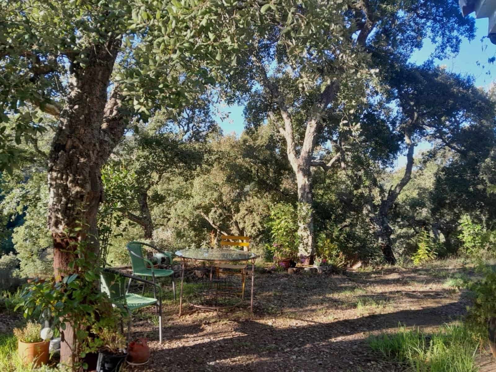 2 soveværelse Finca/Landehus til salg i Castano del Robledo med swimmingpool - € 255.000 (Ref: 8885148)