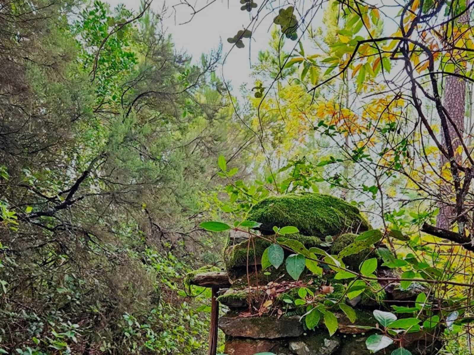 2 soveværelse Finca/Landehus til salg i Castano del Robledo med swimmingpool - € 255.000 (Ref: 8885148)