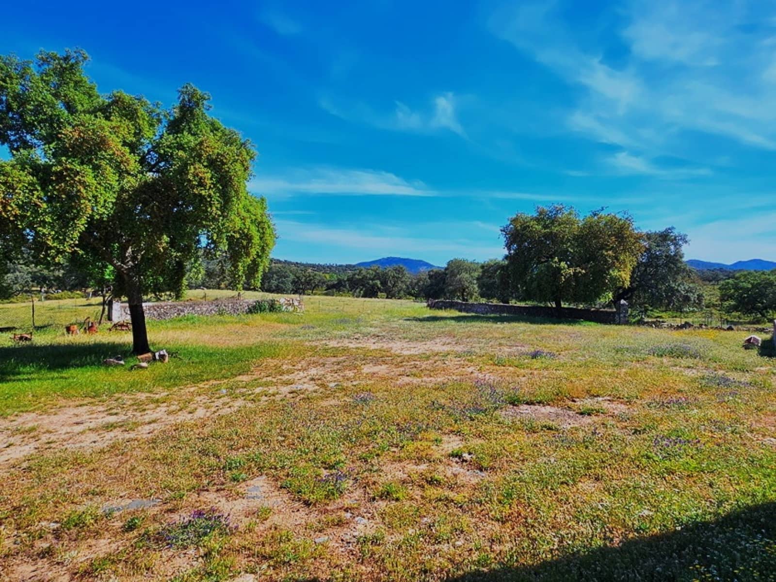 4 chambre Finca/Maison de Campagne à vendre à Aracena - 2 300 000 € (Ref: 8885149)
