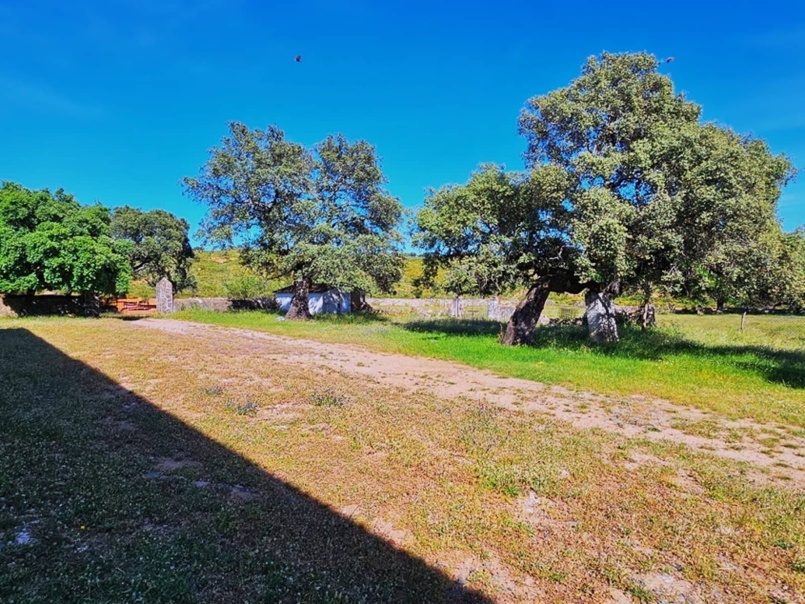 4 chambre Finca/Maison de Campagne à vendre à Aracena - 2 300 000 € (Ref: 8885149)