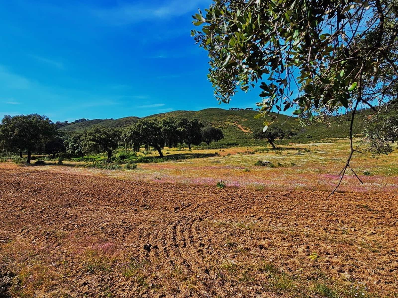 4 chambre Finca/Maison de Campagne à vendre à Aracena - 2 300 000 € (Ref: 8885149)