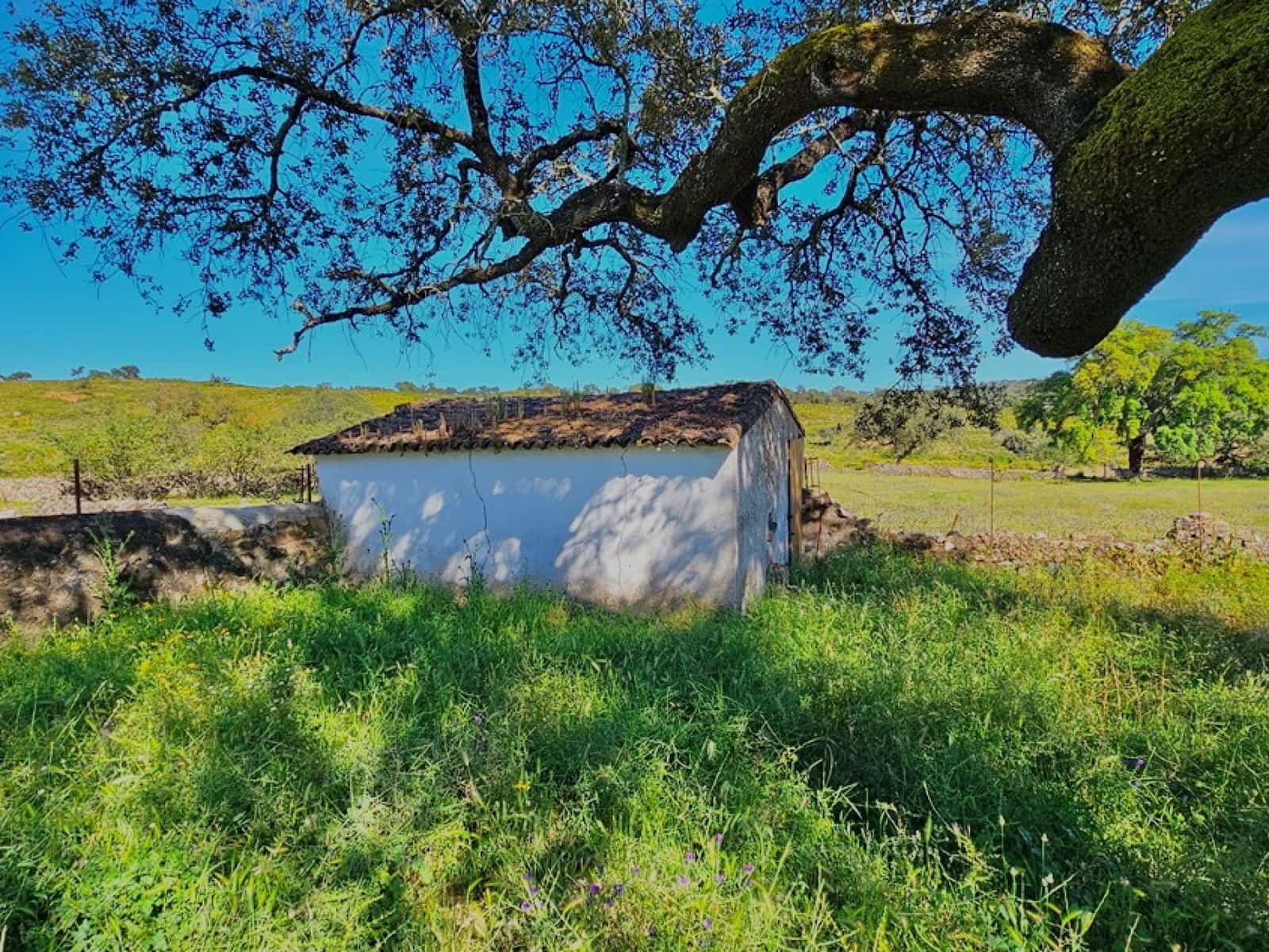 4 chambre Finca/Maison de Campagne à vendre à Aracena - 2 300 000 € (Ref: 8885149)