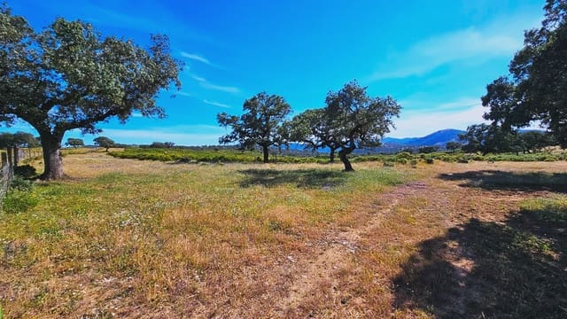 4 camera da letto Finca/Casa di Campagna in vendita in Aracena - 2.300.000 € (Rif: 8885149)