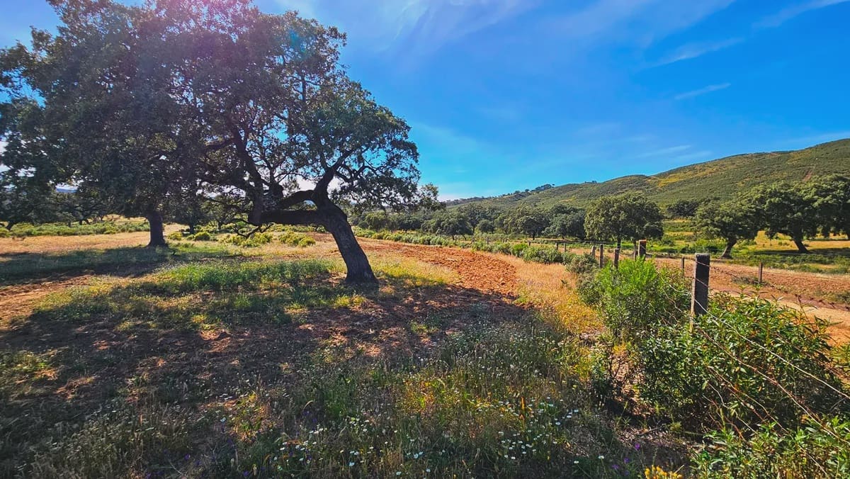 4 quarto Quinta/Casa Rural para venda em Aracena - 2 300 000 € (Ref: 8885149)