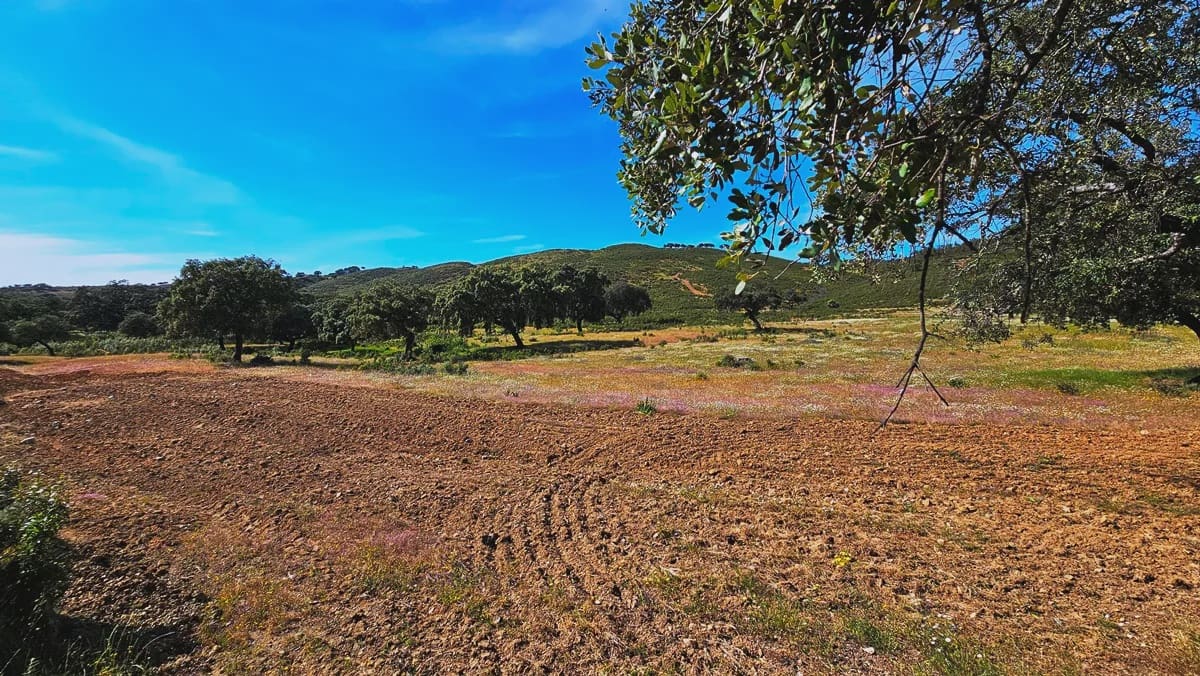4 quarto Quinta/Casa Rural para venda em Aracena - 2 300 000 € (Ref: 8885149)