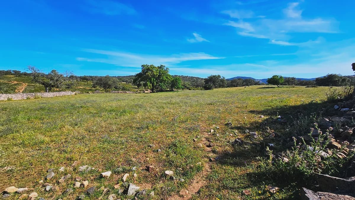 4 quarto Quinta/Casa Rural para venda em Aracena - 2 300 000 € (Ref: 8885149)