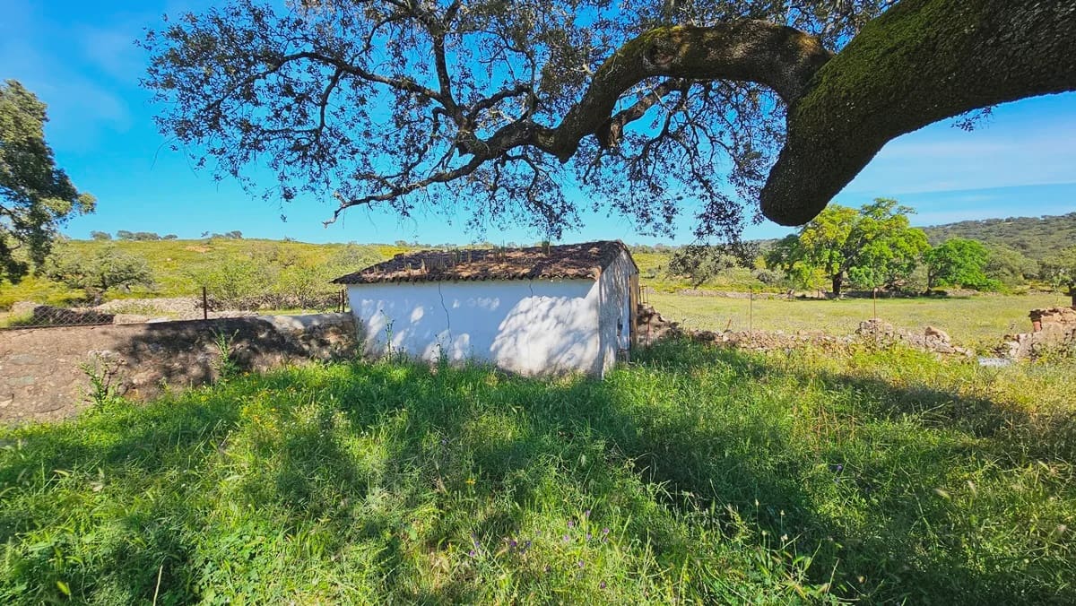 4 quarto Quinta/Casa Rural para venda em Aracena - 2 300 000 € (Ref: 8885149)