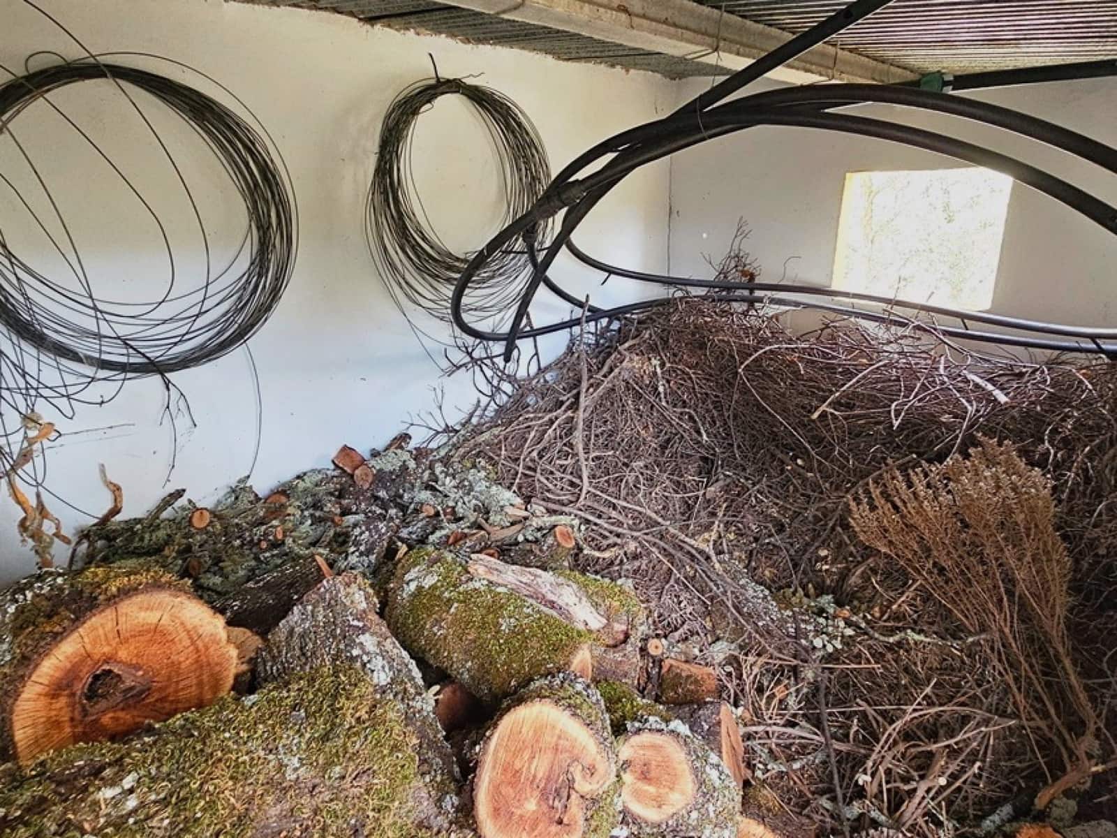 5 sypialnia Finka/Dom wiejski na sprzedaż w Cortegana z basenem - 320 000 € (Ref: 8885522)