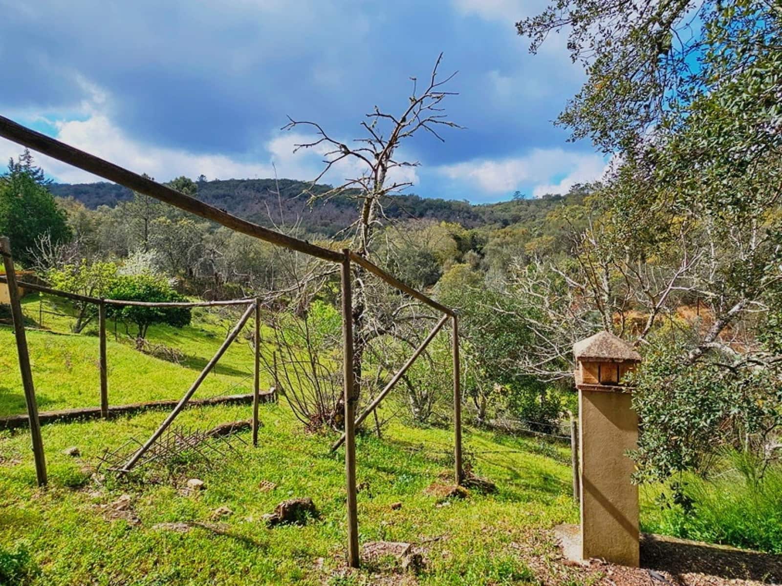 5 sypialnia Finka/Dom wiejski na sprzedaż w Cortegana z basenem - 320 000 € (Ref: 8885522)