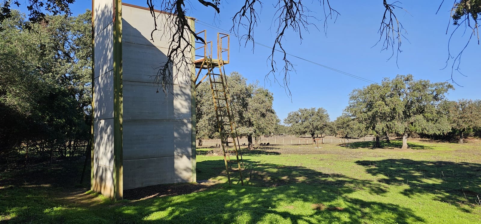 Hotel de 20 habitaciones en Morón de la Frontera en venta con piscina garaje - 1.200.000 € (Ref: 8895821)