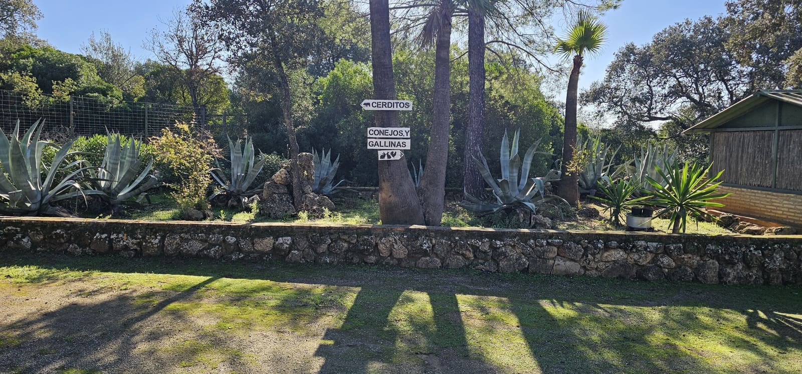 Hotel de 20 habitaciones en Morón de la Frontera en venta con piscina garaje - 1.200.000 € (Ref: 8895821)