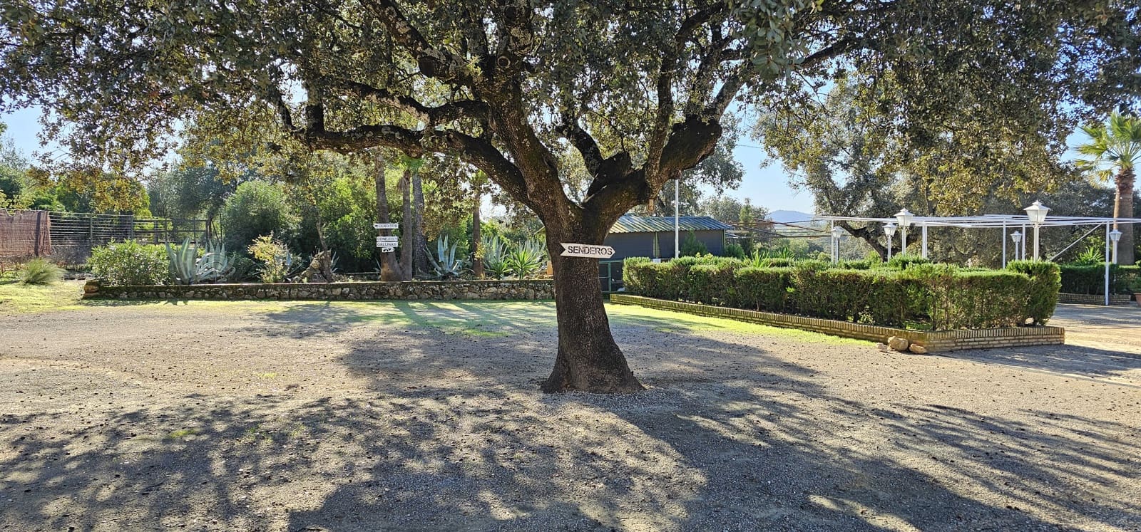 Hotel de 20 habitaciones en Morón de la Frontera en venta con piscina garaje - 1.200.000 € (Ref: 8895821)