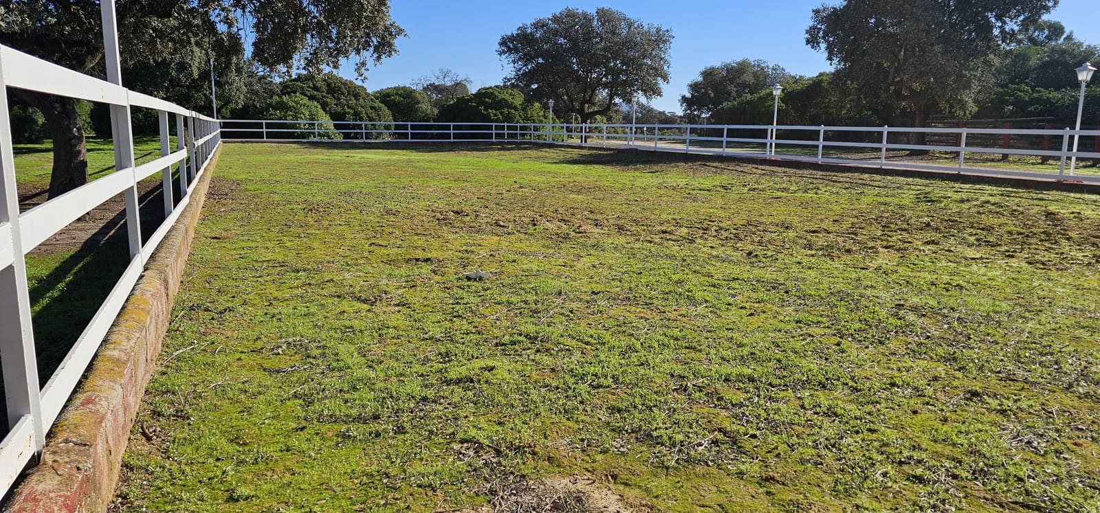 Hotel de 20 habitaciones en Morón de la Frontera en venta con piscina garaje - 1.200.000 € (Ref: 8895821)