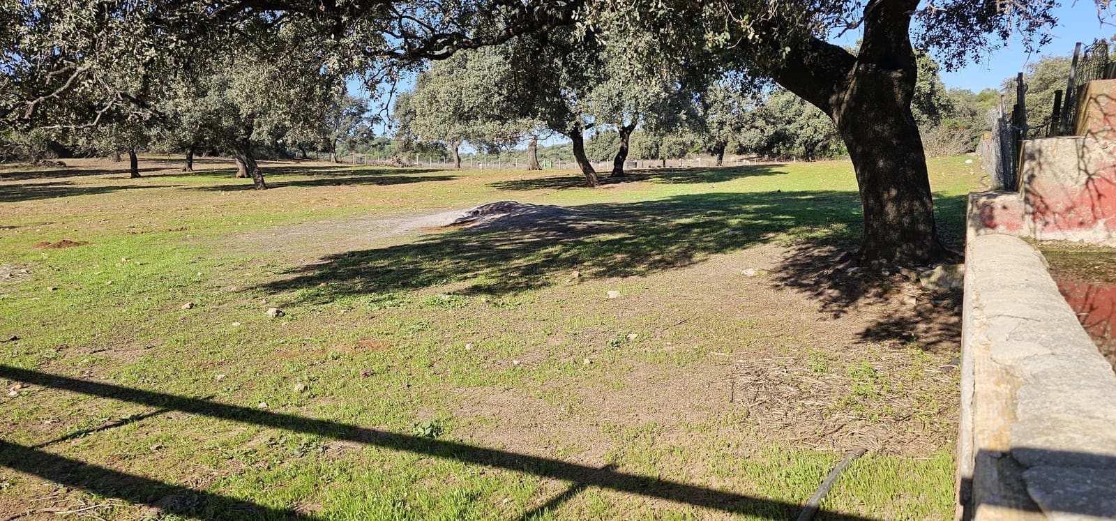 Hotel de 20 habitaciones en Morón de la Frontera en venta con piscina garaje - 1.200.000 € (Ref: 8895821)