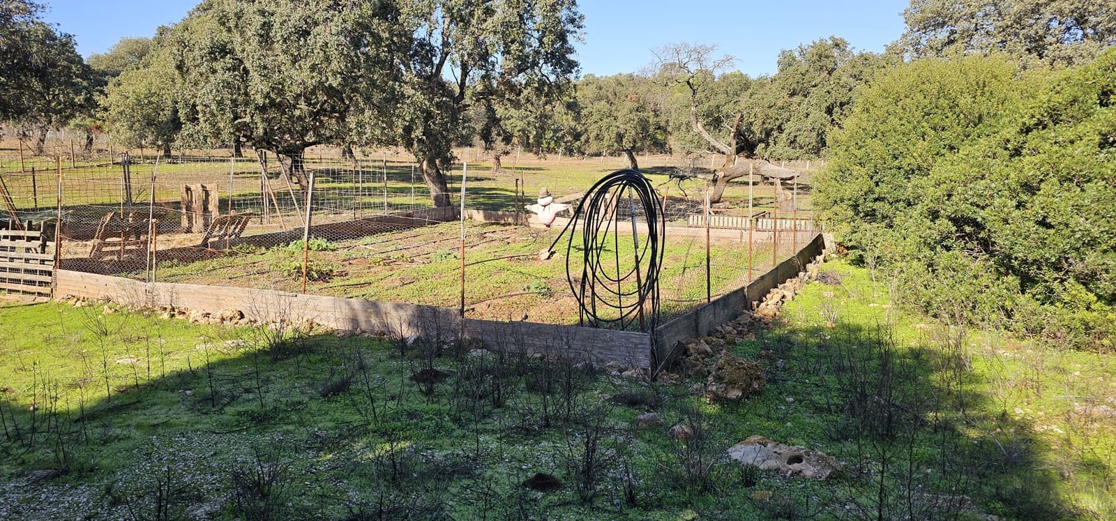 Hotel de 20 habitaciones en Morón de la Frontera en venta con piscina garaje - 1.200.000 € (Ref: 8895821)