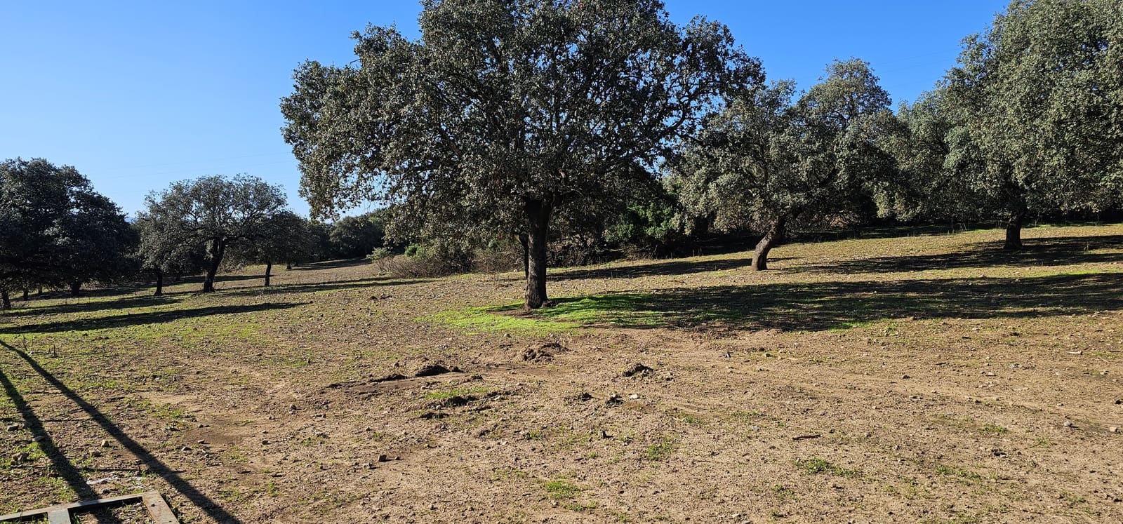 Hotel de 20 habitaciones en Morón de la Frontera en venta con piscina garaje - 1.200.000 € (Ref: 8895821)