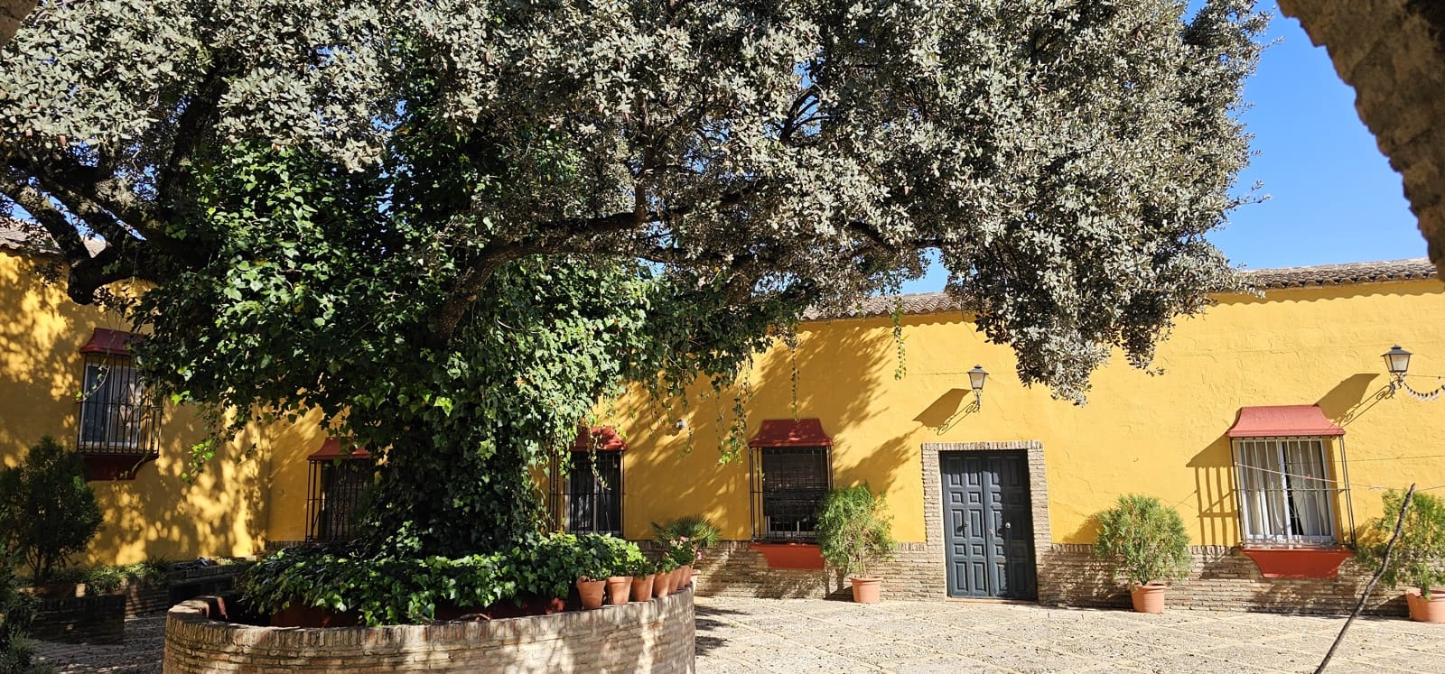 Hotel de 20 habitaciones en Morón de la Frontera en venta con piscina garaje - 1.200.000 € (Ref: 8895821)