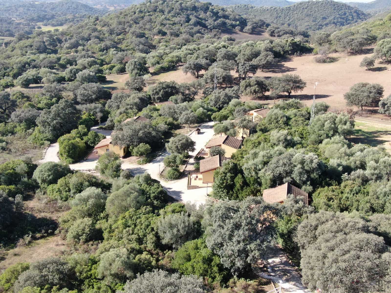 Hotel de 20 habitaciones en Morón de la Frontera en venta con piscina garaje - 1.200.000 € (Ref: 8895821)