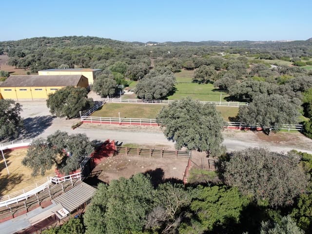 Hotel de 20 habitaciones en Morón de la Frontera en venta con piscina garaje - 1.200.000 € (Ref: 8895821)