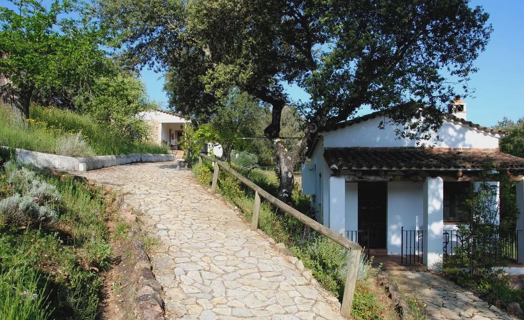 25 quarto Hotel para venda em Aracena com piscina - 3 500 000 € (Ref: 8900870)